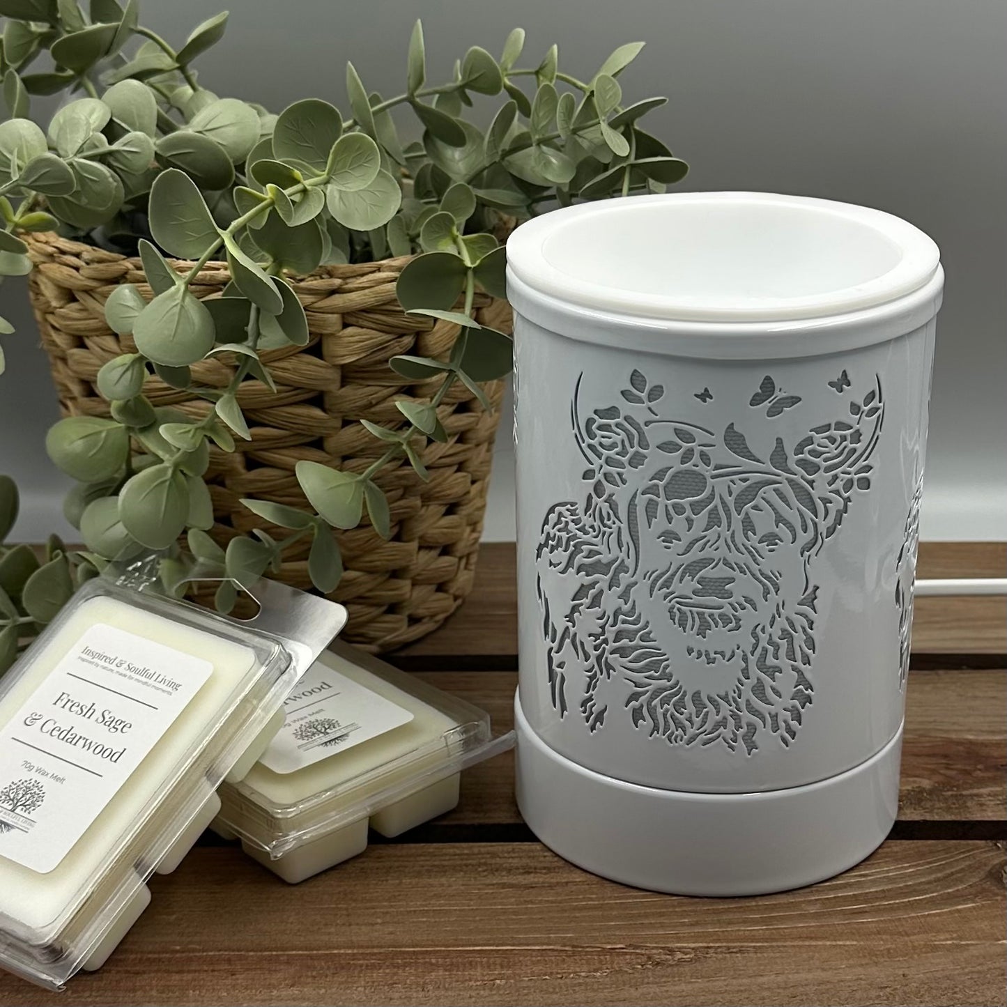 Electric Wax Warmer