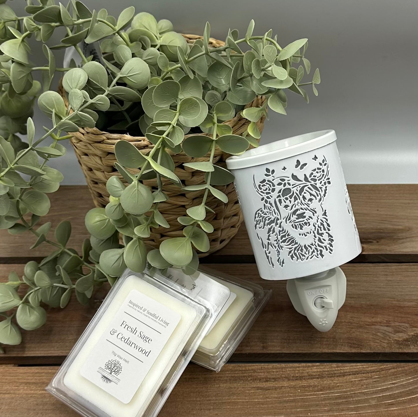 Plug In Wax Warmer
