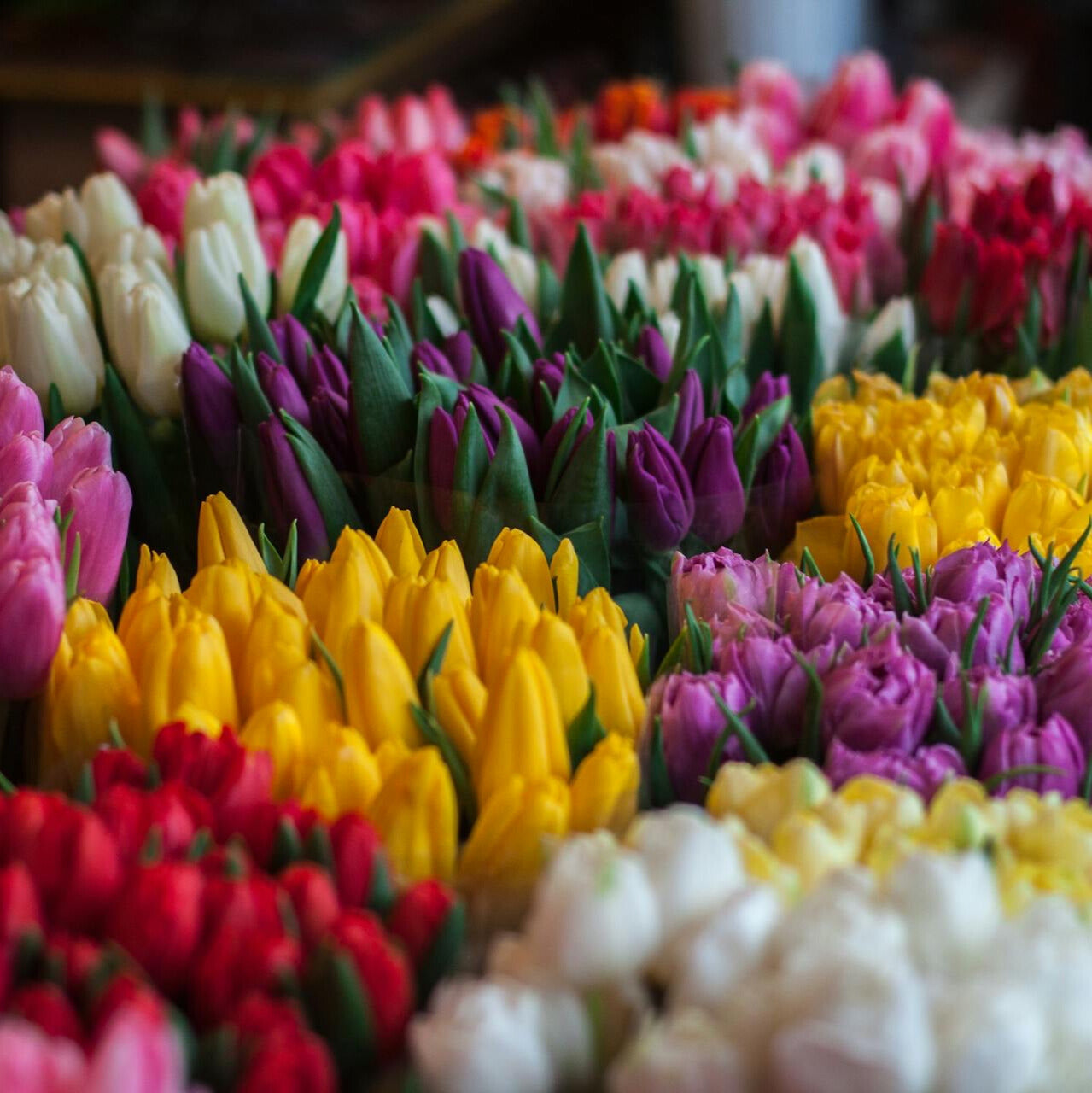 Flowerbomb