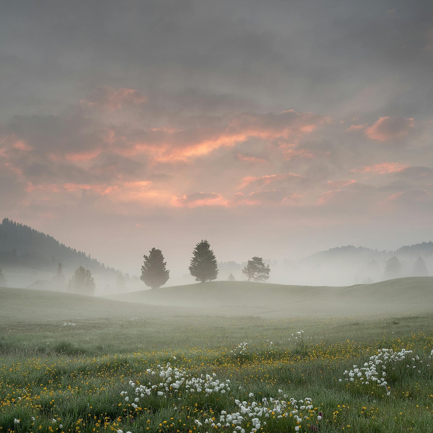 Dreamscape