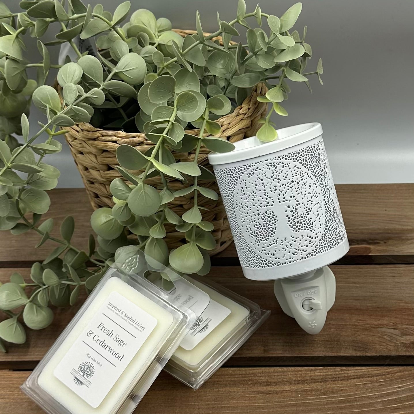 Plug In Wax Warmer